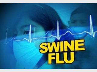 ��� �������� � �������� ������ A/H1N1