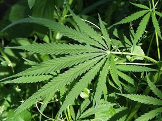 ������� ��������� ���������� ���