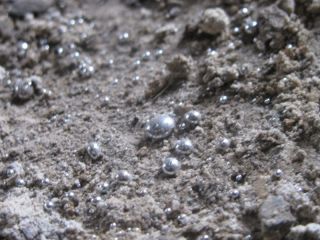 ������ ������� ������ �������