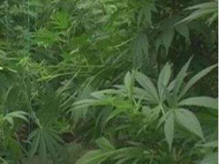 �������� ���������������� ���������� � ���� ������� ���������