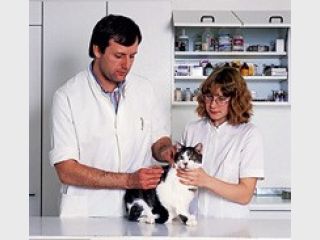 �������� ���������� ����������� ������� � ���������� �������