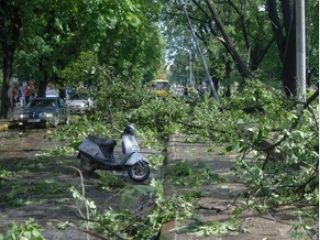 � ������� ���������� ����� 300 ���������� �������