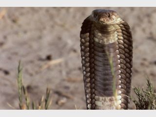 �� ������ � ������ ������� ���������, ��� � ��������� �������� ���������� �����