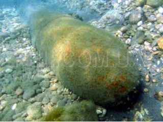 � ������ � 10 ������ �� ������ ����� ������ ����. ����� ��������