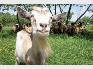 �� ����� ��� ��� ������ ������