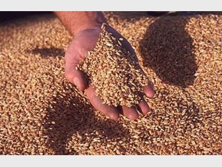 ������� ������� �� ������ �������� ����������