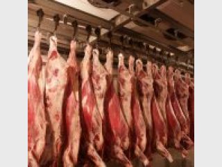 �������� ��� ��������� �������� �� �������