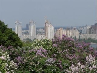 ���� ����� � ������ ����� ������� ������� ���� ��� �����������