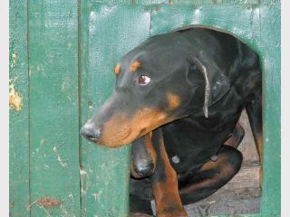 ����� �� ������