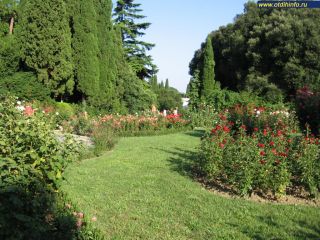 ��� �������� �� ���������� ���������� ������������� ����?