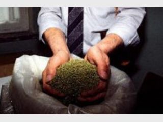 ��������������� �������� �������, ��� �� ������� ������� ������ ���� ���������