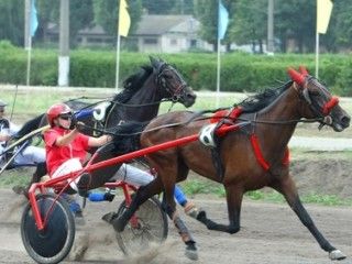 �� ��������� ������ ���������� ������