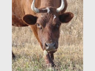 �� ��������� ��������� ������ ����������� �������� �������� �����