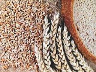 ������ ������� 275 ���. ������ �� ��������� �� ��������� ��������