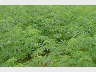 � ����������� ������� ���������� ����� ������ ������� ���� � �������