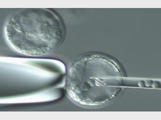 � ������� ��������� �������� �� ���������� ������������� ��������� ������