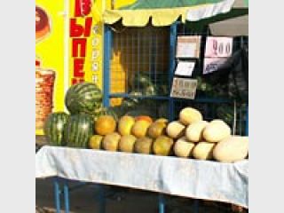 ������������ ������ ����� ���������� ��������� �������