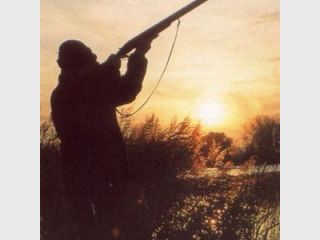 �� ��������� �� �������� ����������� ������ ������ ��������