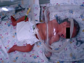 � ������� ���� �������� ����� �������� �� ��������