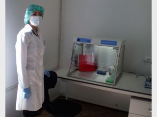 ��������� ����������� ��� ����������� ��������, ������������ � ������� � ������