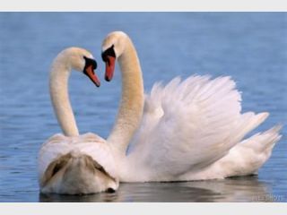 �������� ���� � �������� ������� � ����� ��������