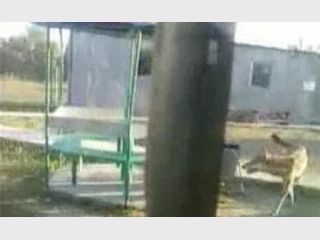 �� �� ������������� ���. ���� ����� �� ����������� ������� ��������������