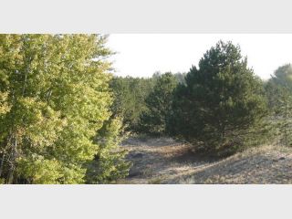 �� �������������� ���� ������ �� �������