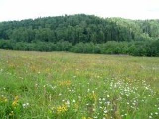 ��������� �������� �� ���������������� ������� ������ ����� �� �����