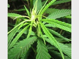 � ����� ���������� ��������������