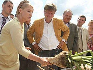 ������������� ������� ��������������� ���� ������� � 2010 ����