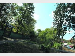 ������� ��������� �������� �� 10 �����