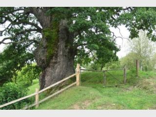 ����� ������ ������� �������: ����-���� 1200 ���