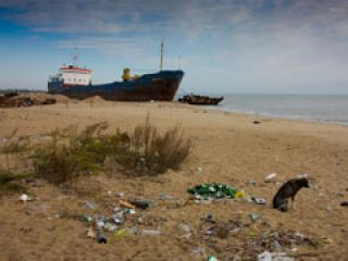 ������������ ��������� ����� �����, ������ �� ���� � �������� �������