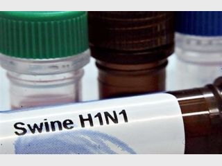 � ������� ����������� ������ ������ ����������� ������� �/H1N1