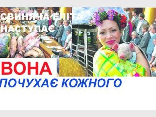 �������� ���� ������ �� ���������