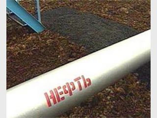 �� ��������� ������������ ������ 5 ���� �����