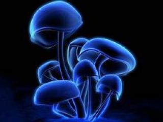 3 �������� ������� � 4 ����������������� ��-�� ���������� ������� � �����������