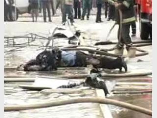 ������ ������ �� ���