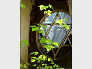 �������� ����� �� ����������� ��������� �������