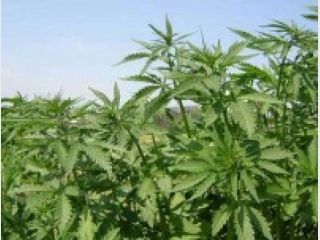 ��� ������ ������� ������������ � ������� �������������� ����� 100 �� �������