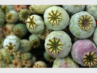 � ����� ����� ��������� ����������