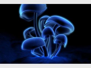 ���: � ����������� ������� ��� ��������� ������