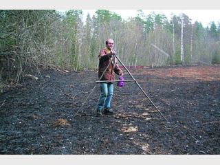 ���������� �������� �� ����� ����� ���