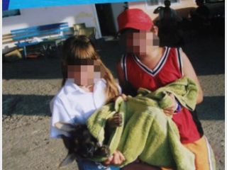 ����� ���������: 