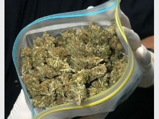 � ���������������� ������� ������� ������ � ���������� 20 �� ���������