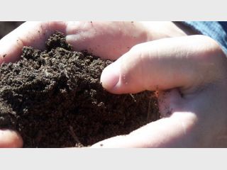 ������� ���������������� �������� ����� ������������������� ������ � �����������