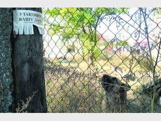 ����������� ������� ����� ������ ����� ���������