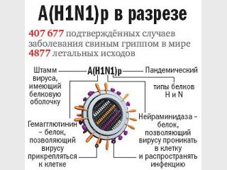 ������ ������� ��������� �� ������ � �������� � ��� ����������� �� ������