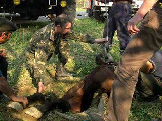 ������������ ��������� �������� �� ���������������� ���� ����