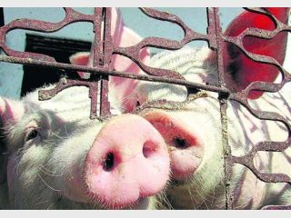 ����� �� ���������� ��-�� ������� ������